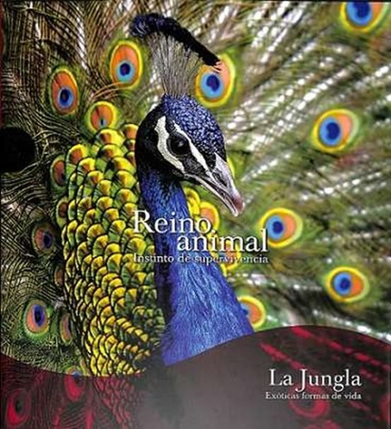 LA JUNGLA SE, de AA.EE | portada del libro