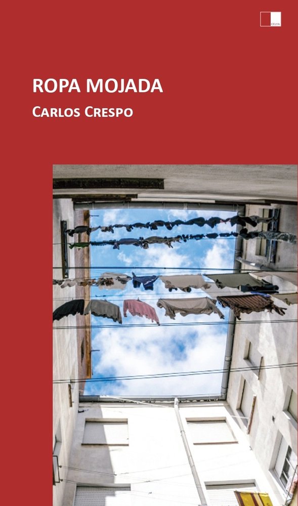 ROPA MOJADA, de JUAN CARLOS CRESPO GONZALEZ | portada del libro