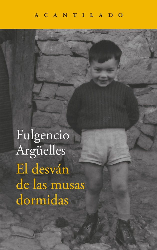 EL DESVAN DE LAS MUSAS DORMIDAS, de ARGUELLES, FULGENCIO | portada del libro