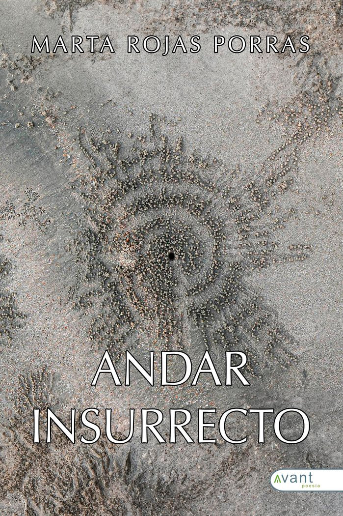 ANDAR INSURRECTO, de Rojas Porras, Marta | portada del libro