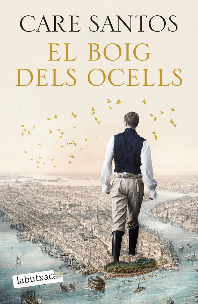 El boig dels ocells, de SANTOS, CARE | portada del libro