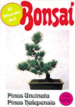 El mundo del bonsai, de PEREZ, RAFAEL | portada del libro