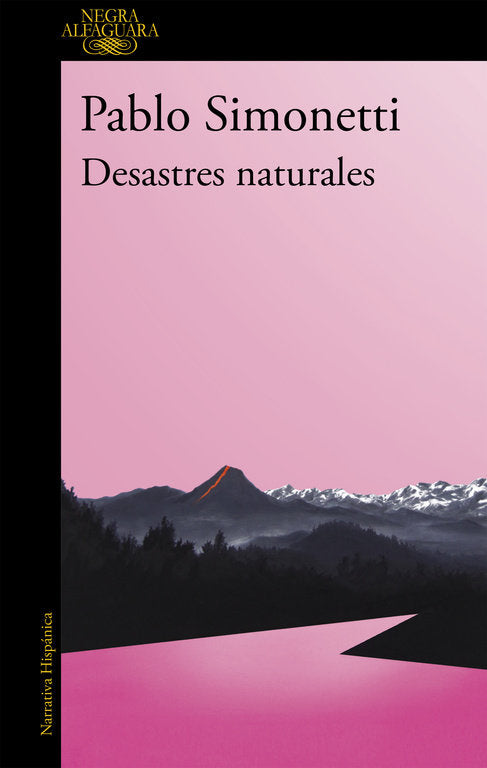 Desastres naturales (Mapa de las lenguas), de Simonetti, Pablo | portada del libro