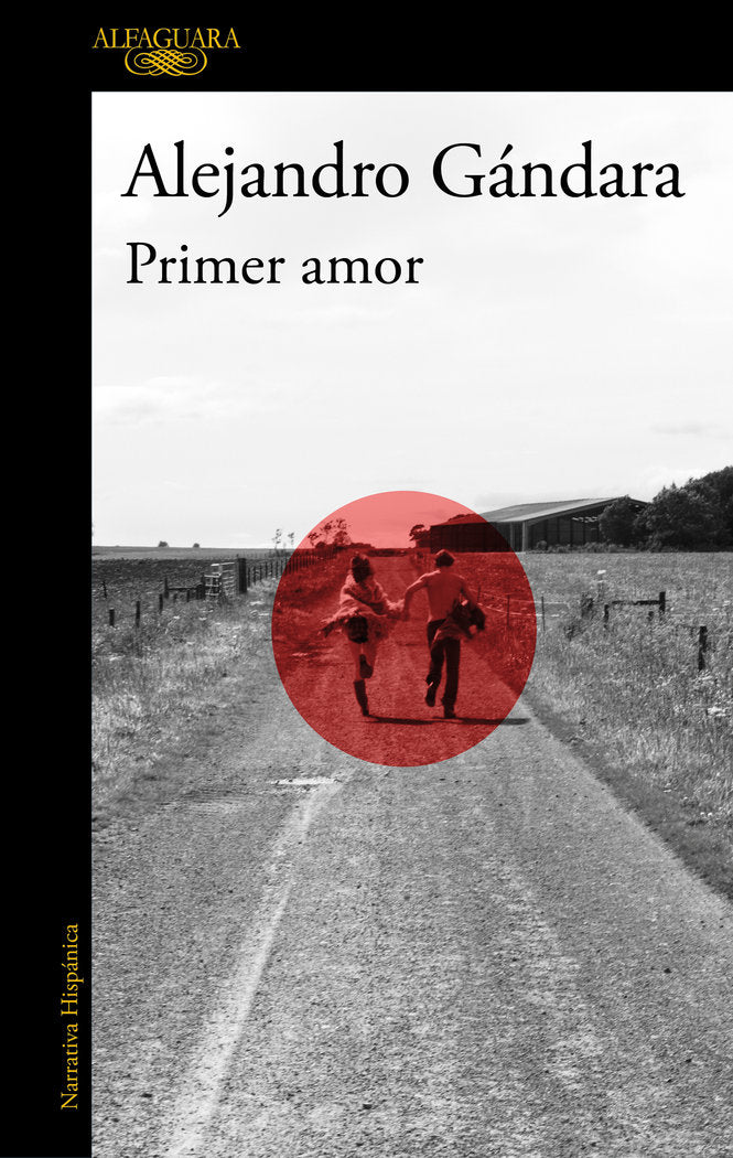 Primer amor, de ALEJANDRO GANDARA | portada del libro