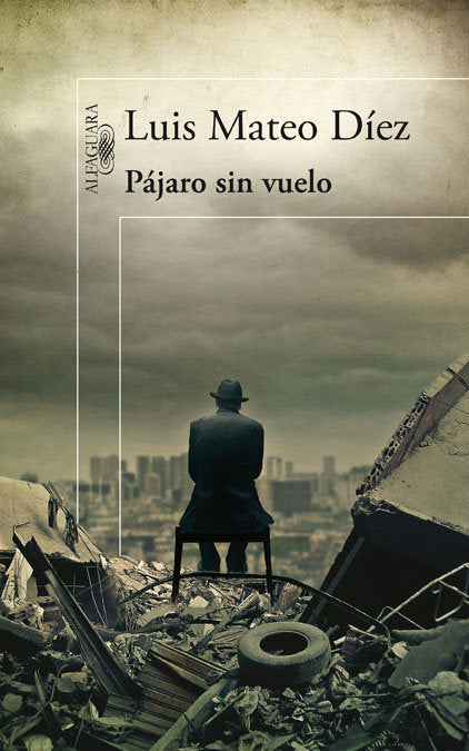 Pájaro sin vuelo, de Díez | portada del libro