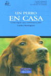 Animales De Compañ¡a: Un Perro En Casa, de RODRIGUEZ,CARLOS | portada del libro