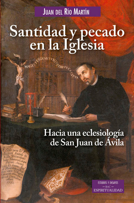 Santidad y pecado en la Iglesia, de Río Martin, Juan del | portada del libro