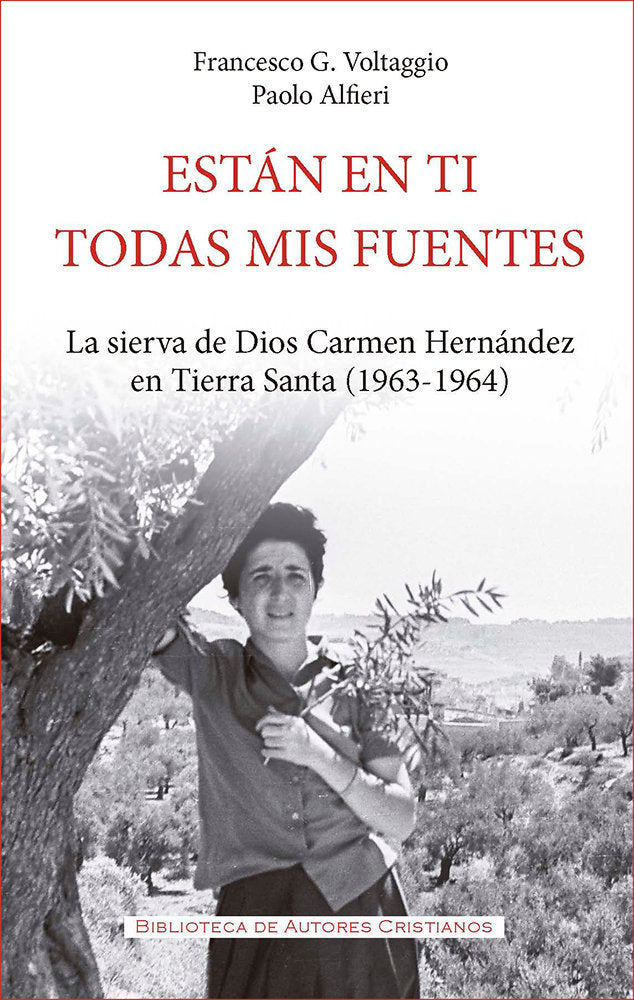 ESTAN EN TI TODAS MIS FUENTES, de VOLTAGGIO, FRANCESCO G. | portada del libro