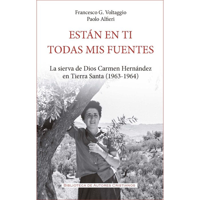 ESTAN EN TI TODAS MIS FUENTES, de VOLTAGGIO | portada del libro