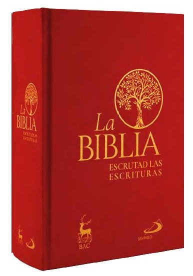 BIBLIA, LA -ESCRUTAD LAS ESCRITURAS (TELA CON ESTUCHE), de AA.VV. | portada del libro