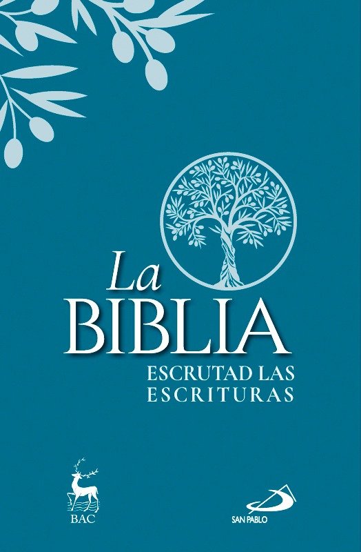 La biblia encuadernacion al cromo, de AA.VV. | portada del libro
