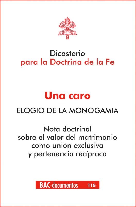 UNA CARO ELOGIO DE LA MONOGAMIA | portada del libro