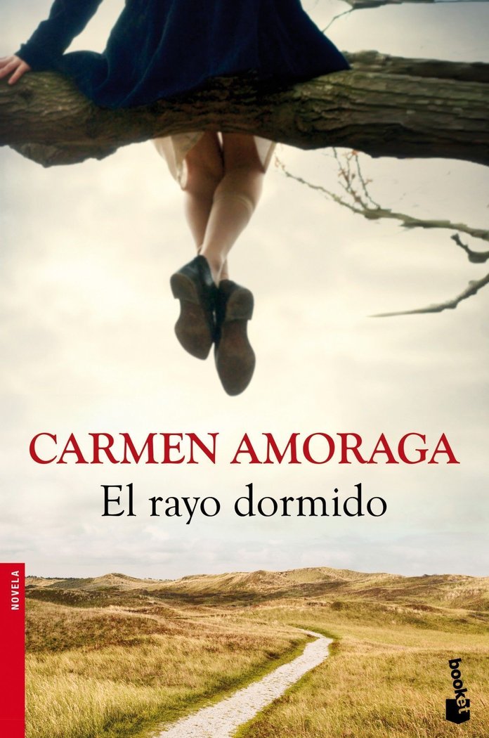 El rayo dormido, de Amoraga | portada del libro