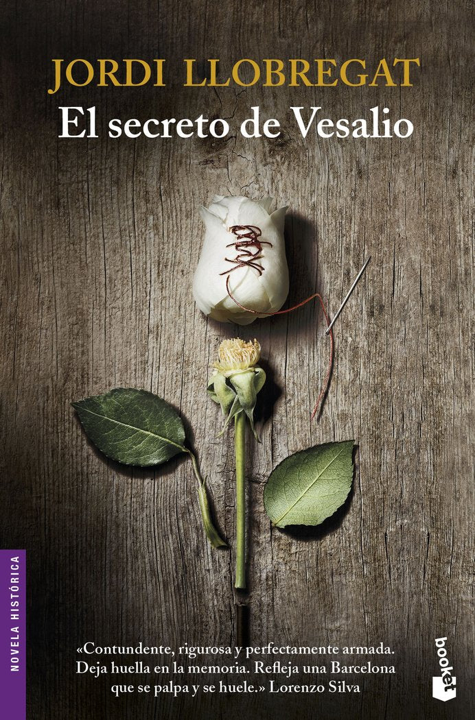 El secreto de Vesalio, de Llobregat, Jordi | portada del libro