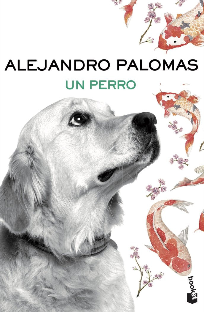 Un perro, de Palomas, Alejandro | portada del libro