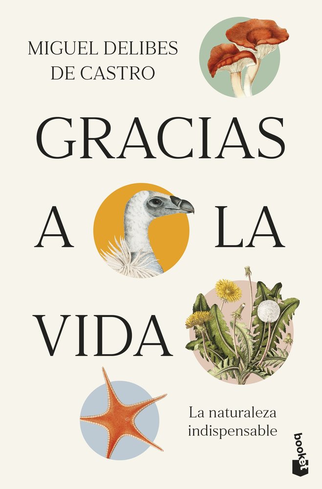 GRACIAS A LA VIDA, de DELIBES DE CASTRO, MIGUEL | portada del libro