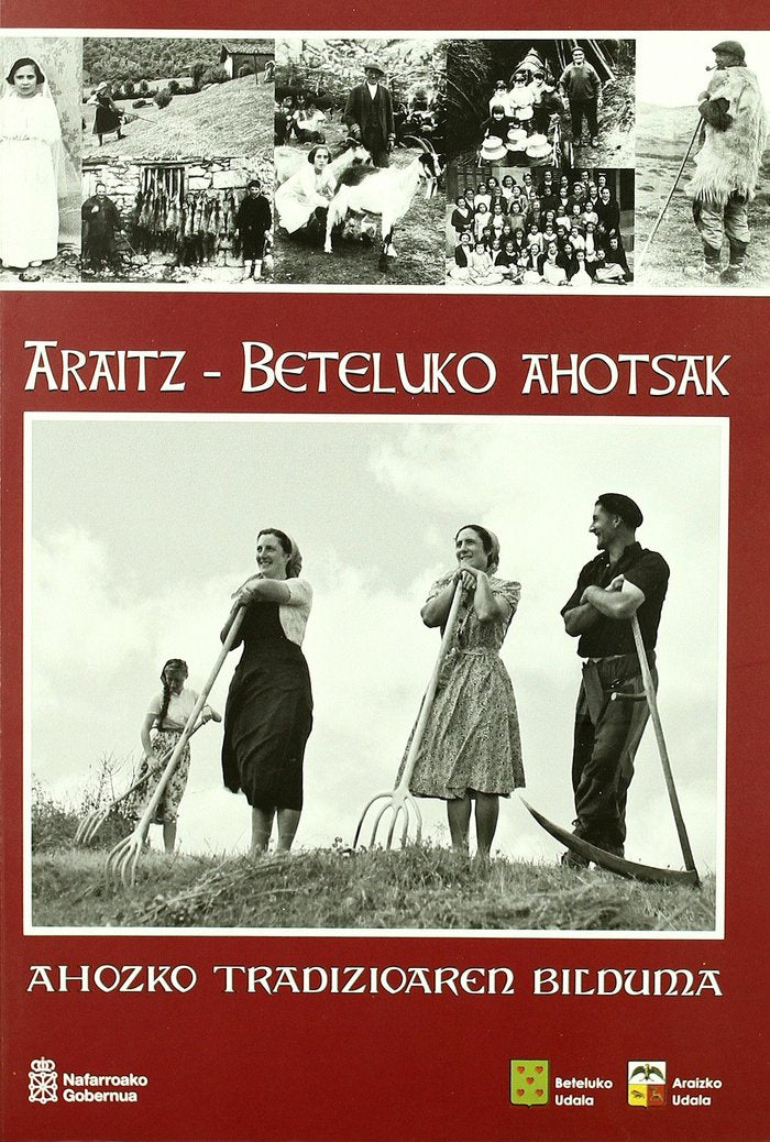 Araitz - Beteluko Ahotsak, de Apalauza Ollo | portada del libro