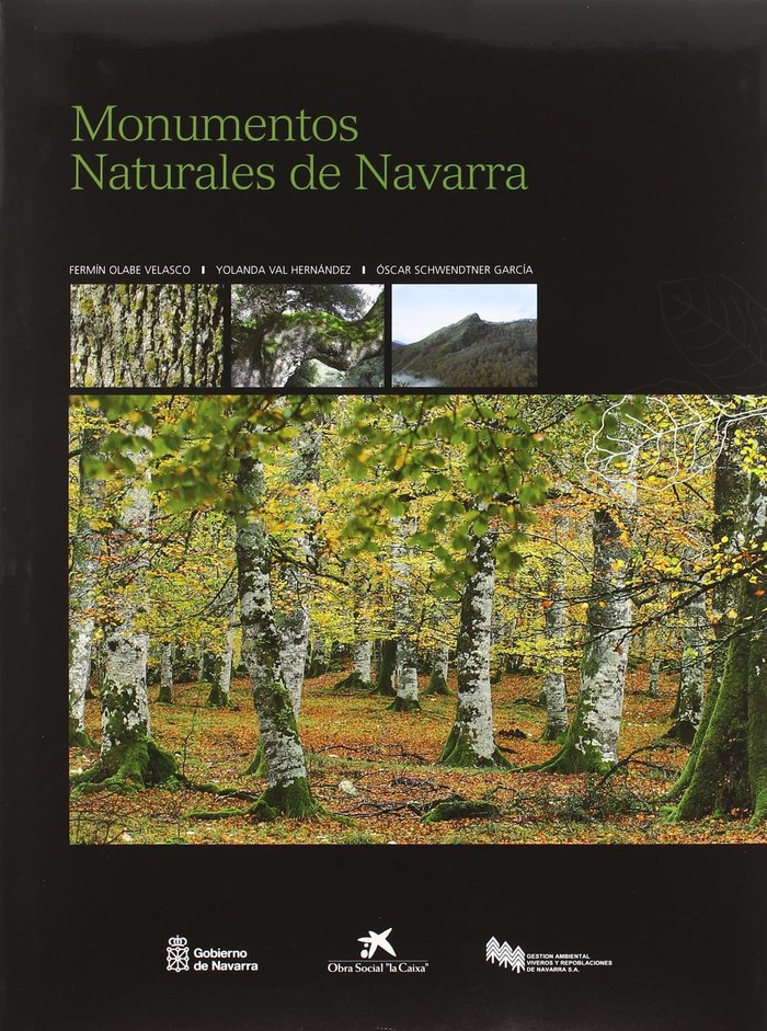 Monumentos naturales de Navarra, de Olabe Velasco | portada del libro