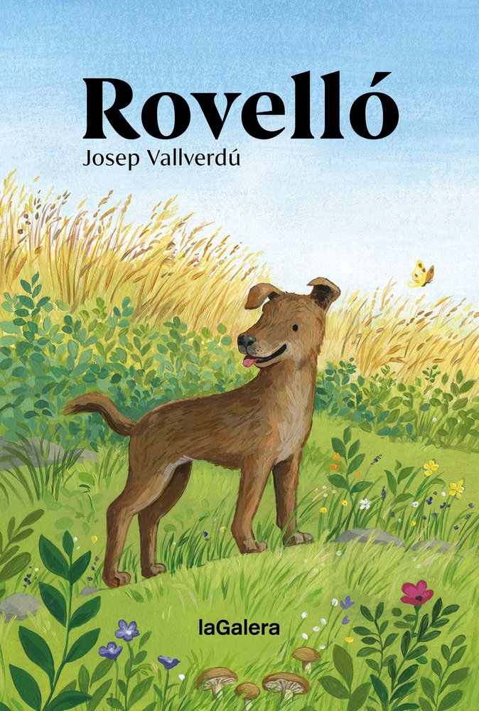 ROVELLO, de JOSEP VALLVERDU | portada del libro