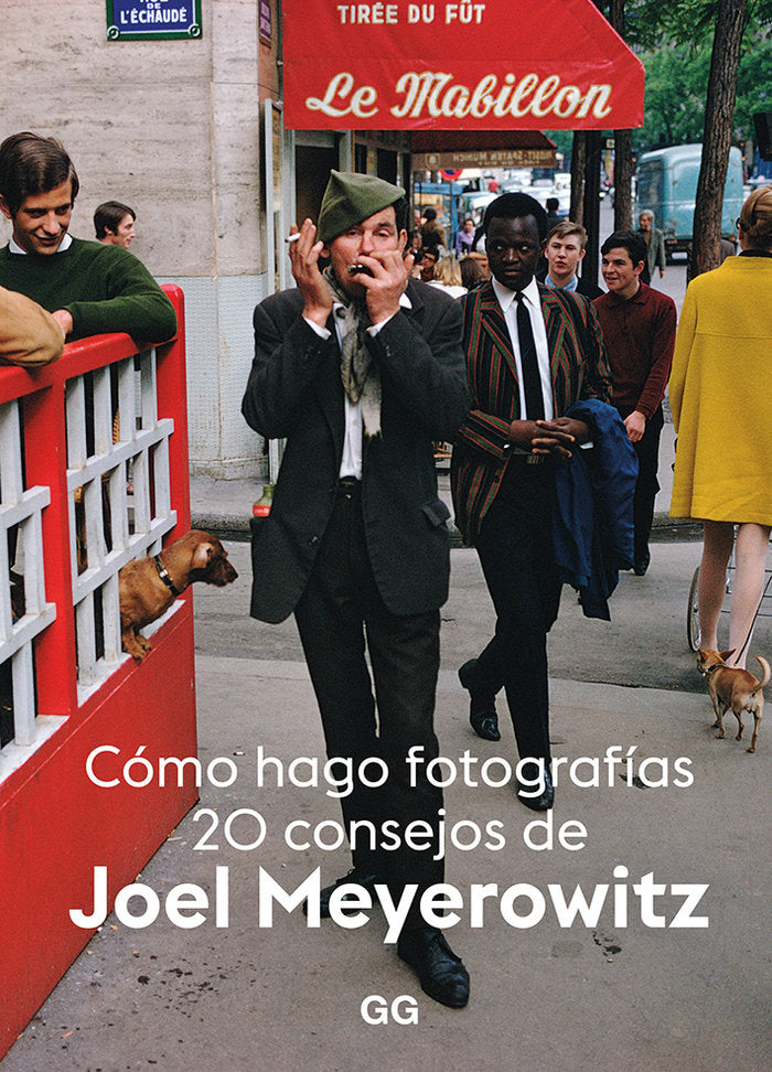 Cómo hago fotografías, de Meyerowitz | portada del libro
