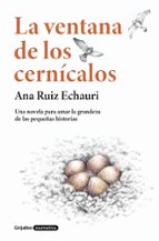 La ventana de los cernícalos, de Ana Ruiz Echauri | portada del libro