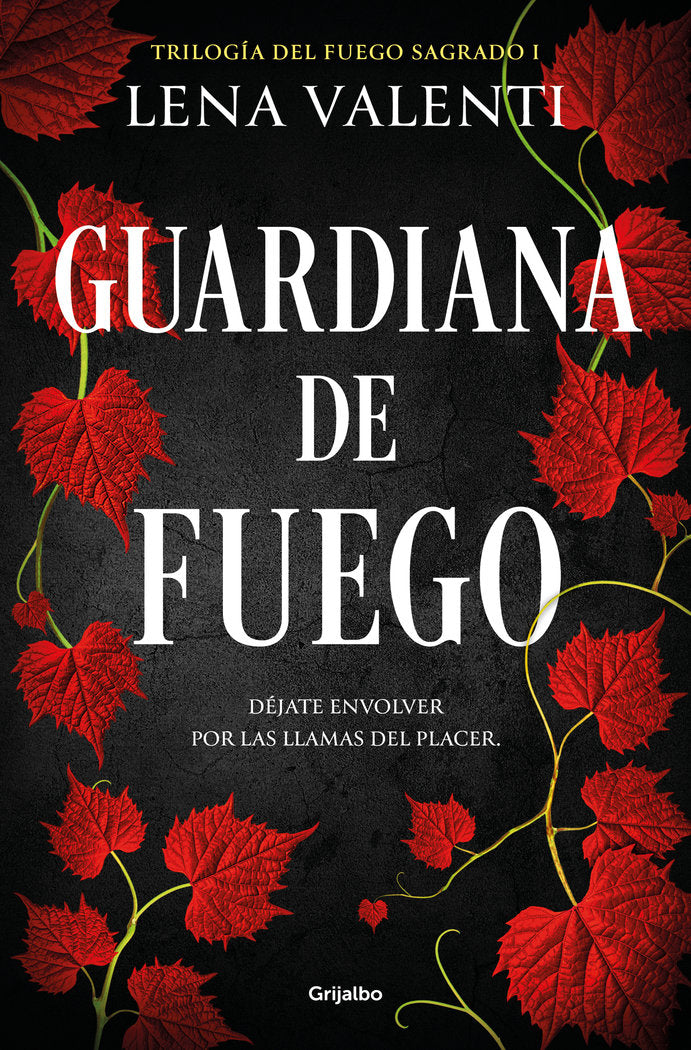 Guardiana de fuego (Trilogía del Fuego Sagrado  1), de VALENTI | portada del libro