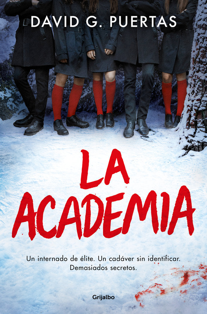 La academia, de DAVID G PUERTAS | portada del libro