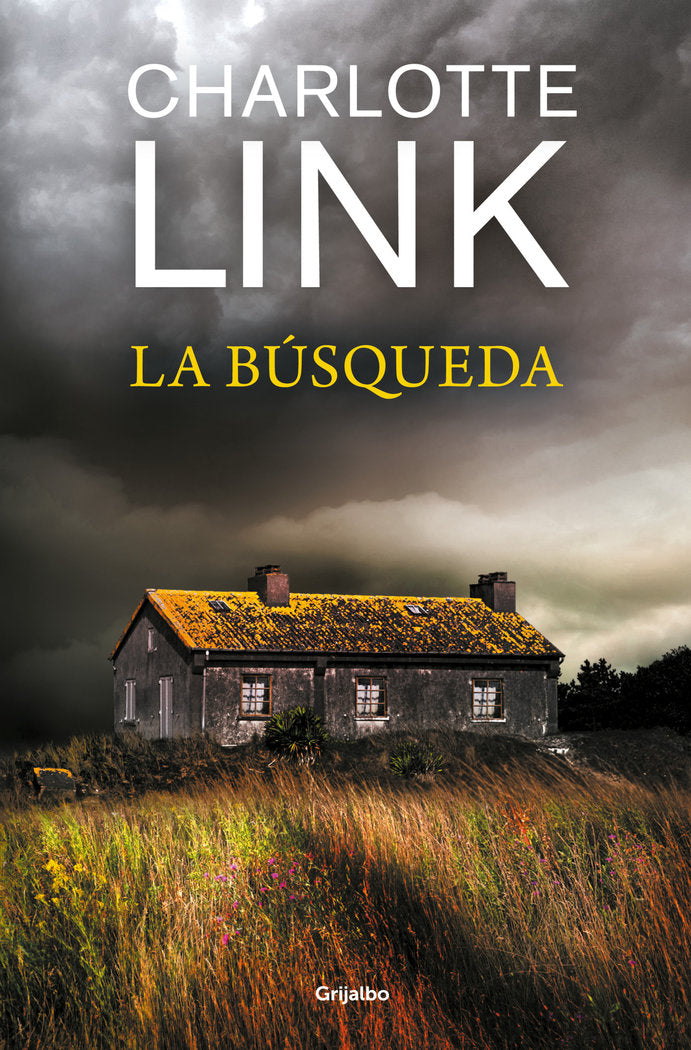 LA BUSQUEDA, de LINK, CHARLOTTE | portada del libro