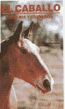 CABALLO SU CRIA Y CUIDADOS, de R.SAUNDERES | portada del libro