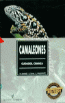 CAMALEONES IF, de SCHMIDT | portada del libro