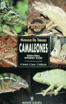 CAMALEONES MANUALES TERRARIO, de AA.VV. | portada del libro