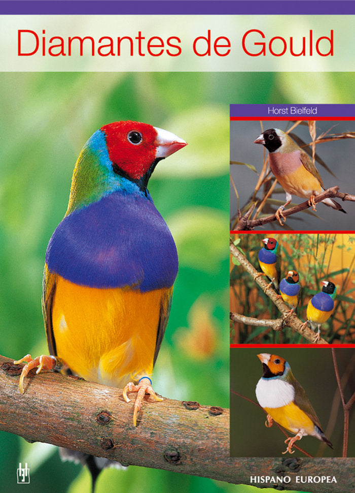 Diamantes de Gould, de Bielfeld | portada del libro