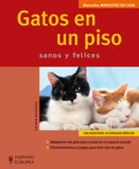 Gatos en un piso, de Behrend, Katrin | portada del libro