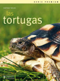 Las tortugas, de Wilke, Hartmut | portada del libro