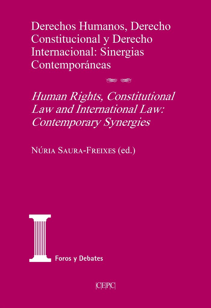 DERECHOS HUMANOS, DERECHO CONSTITUCIONAL, DERECHO INTERNACIONAL | portada del libro