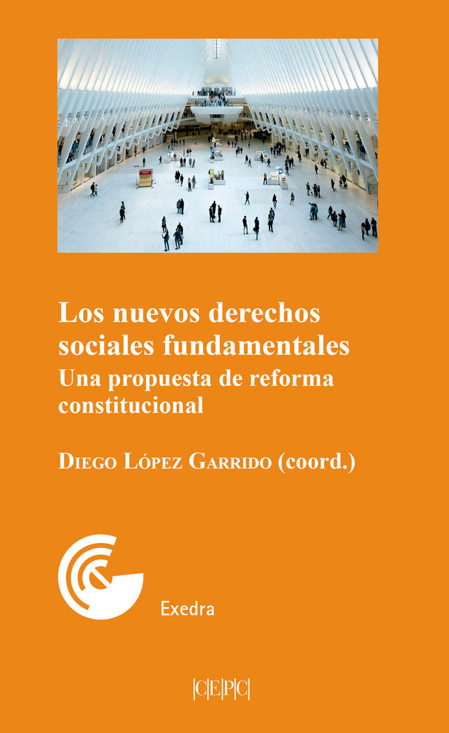 LOS NUEVOS DERECHOS SOCIALES FUNDAMENTALES | portada del libro