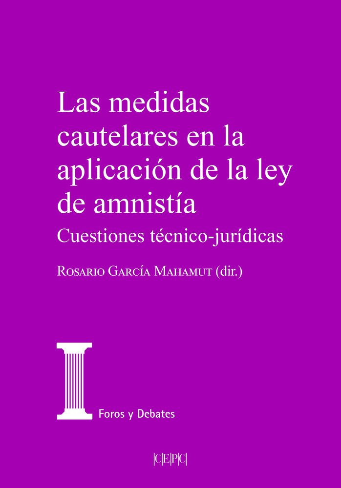 LAS MEDIDAS CAUTELARES EN LA APLICACION DE LA LEY DE AMNISTIA | portada del libro