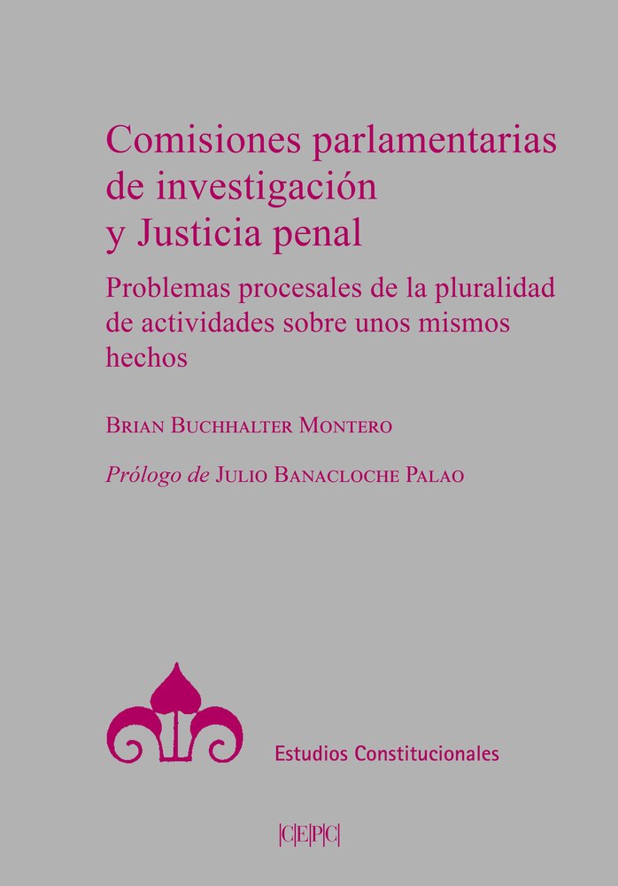 COMISIONES PARLAMENTARIAS DE INVESTIGACION Y JUSTICIA PENAL., de BUCHHALTER MONTERO, BRIAN | portada del libro