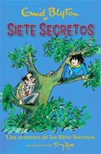 UNA AVENTURA DE LOS SIETE SECRETOS - SIETE SECRETOS, de Enid BlytonTony Ross | portada del libro