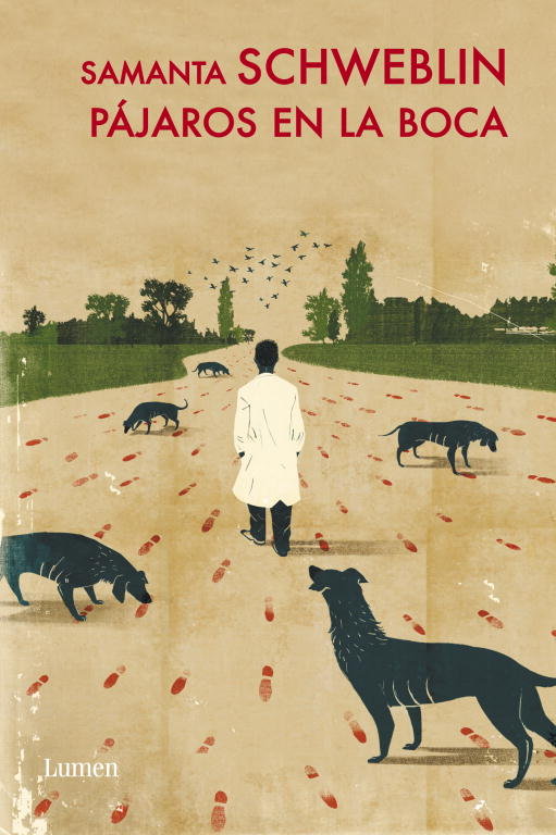PAJAROS EN LA BOCA, de SCHWEBLIN | portada del libro