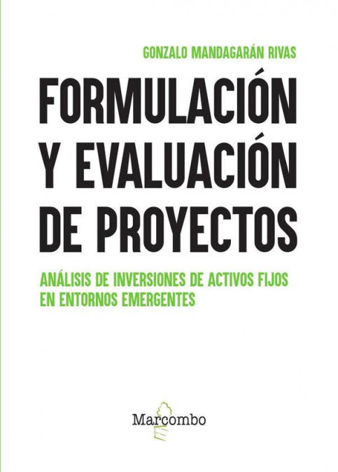FORMULACION Y EVALUACION DE PROYECTOS, de MANDAGARAN RIVAS, GONZALO | portada del libro