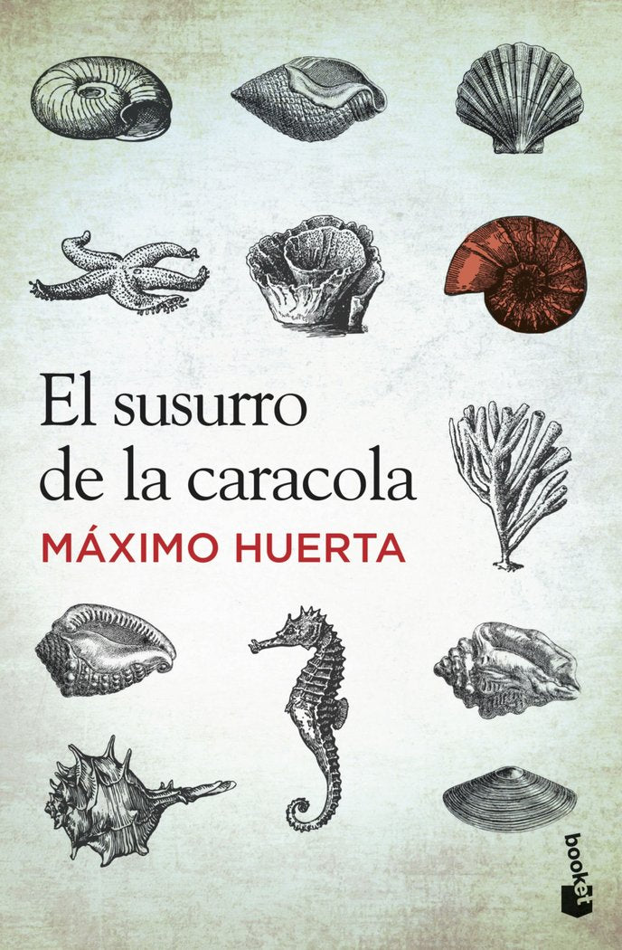 El susurro de la caracola, de Huerta, Máximo | portada del libro