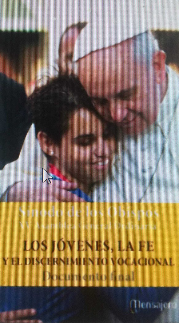 JOVENES,LA FE Y DISCERNIMIENTO VOCACIONAL, de SINODO OBISPOS ASAMBLEA XV | portada del libro