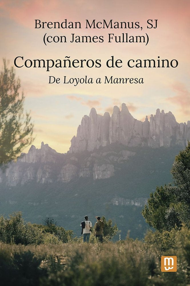 COMPAÑEROS DE CAMINO, de BRENDAN MCMANUS SJ | portada del libro