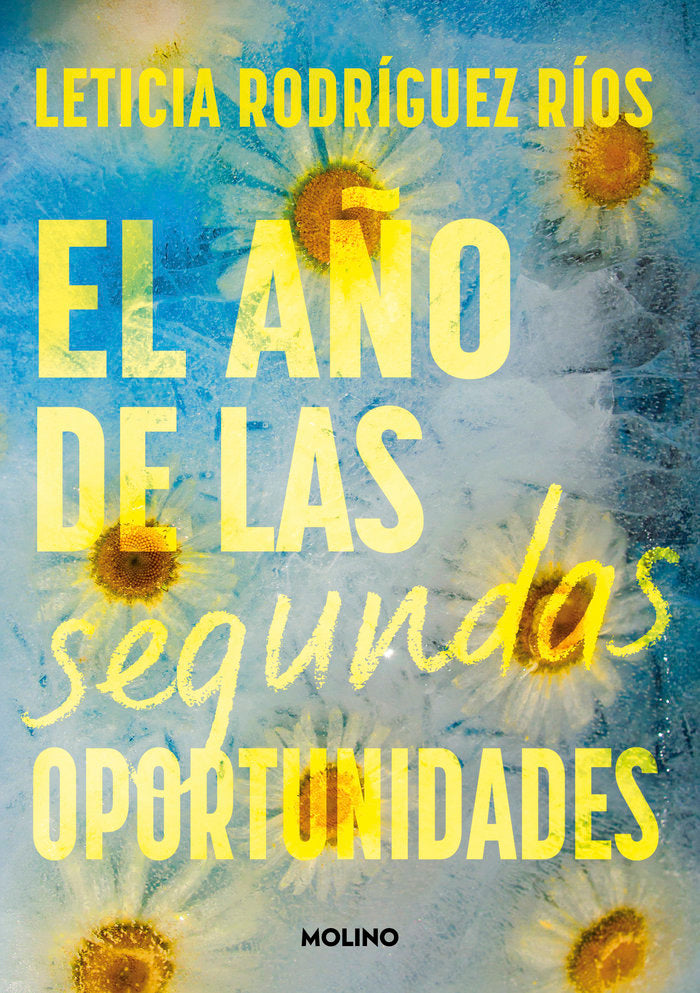 El año de las segundas oportunidades, de RODRIGUEZ RIOS | portada del libro