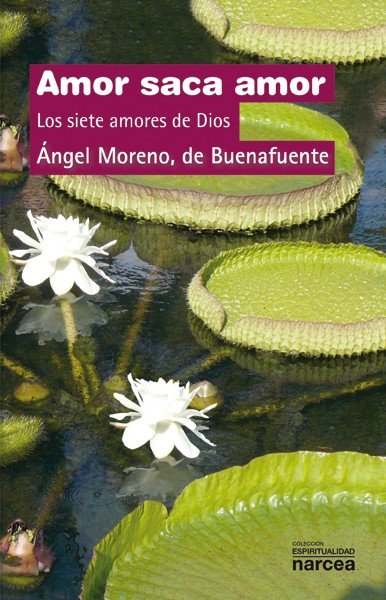 Amor saca amor, de Moreno de Buenafuente, Ángel | portada del libro