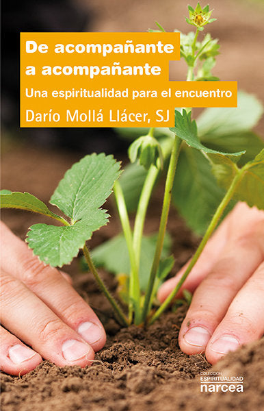 De acompañante a acompañante, de Mollá Llácer, Darío | portada del libro