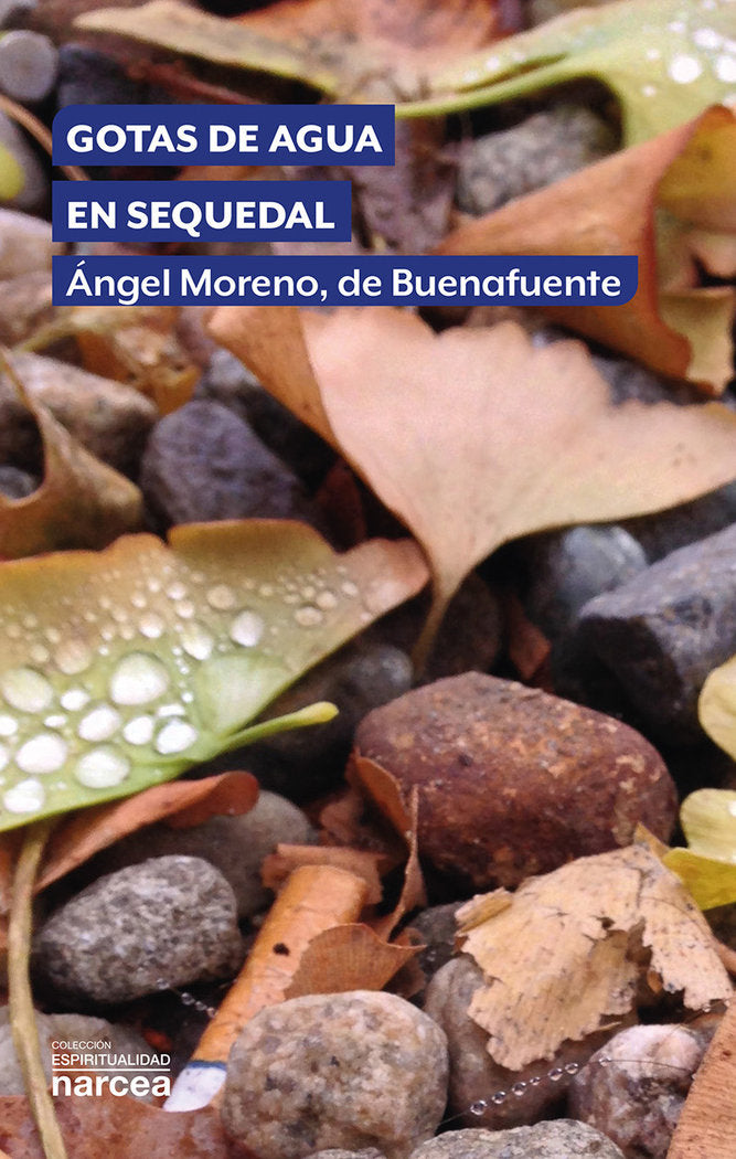 Gotas de agua en sequedal, de MORENO, DE BUENAFUENTE, ANGEL | portada del libro