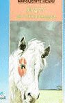 Misty, de MARGHERITE HENRY | portada del libro