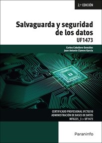 SALVAGUARDA Y SEGURIDAD DE LOS DATOS, de CABALLERO GONZALEZ, CARLOS | portada del libro